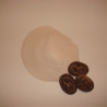 Arabisk Gummi