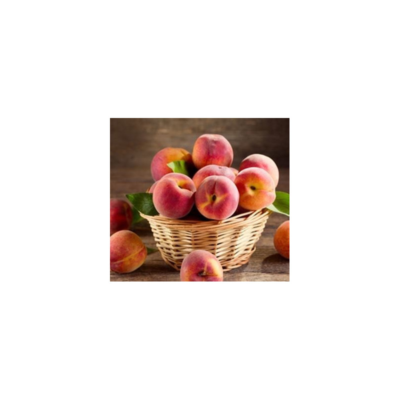 DDK Aroma – Fersken 10 ml.