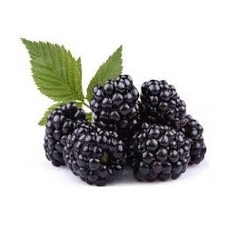 DDK – Brombær 30/10 ml