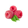 Inawera Aroma / Flavorika 10 ml - Malina Raspberry