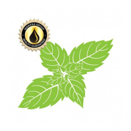 Inawera Aroma / Flavorika 10 ml. - Menthol