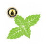Inawera Aroma / Flavorika 10 ml. - Menthol