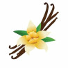 Inawera Aroma/ Flavorika 10 ml.- Vanilla Classic