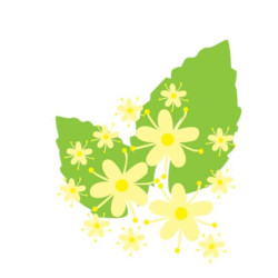 Inawera Aroma / Falvorika...